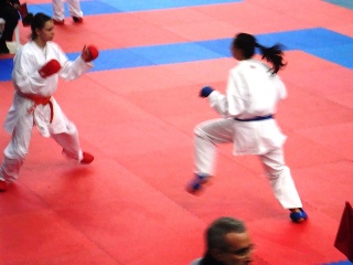 Image description